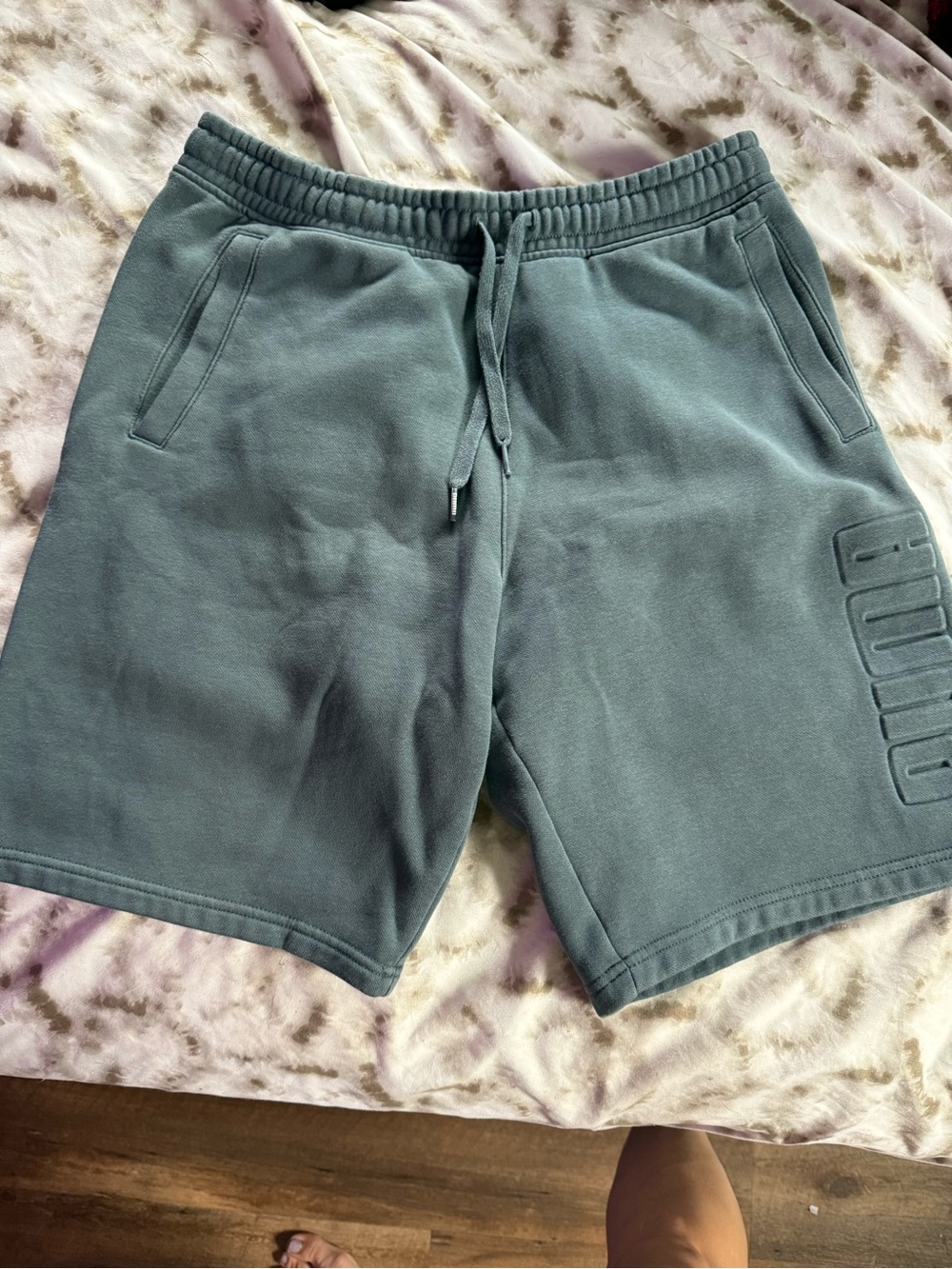 Puma Men's Slate Green Athletic Drawstring Shorts